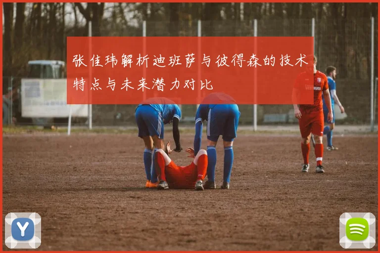 张佳玮解析迪班萨与彼得森的技术特点与未来潜力对比