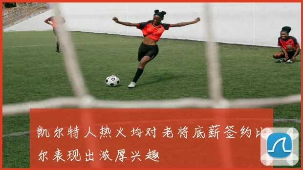 凯尔特人热火均对老将底薪签约比尔表现出浓厚兴趣