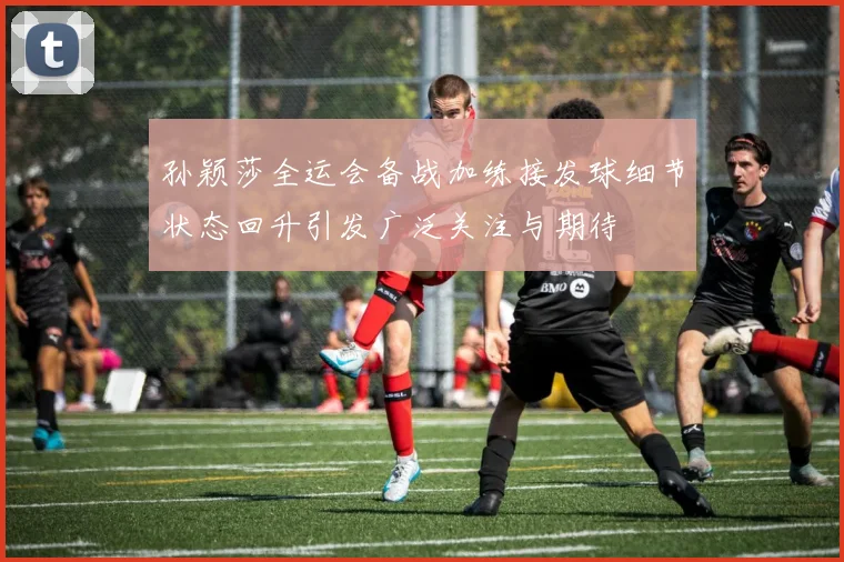 孙颖莎全运会备战加练接发球细节状态回升引发广泛关注与期待